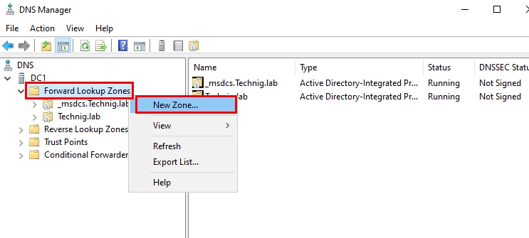 Create New Zone Option on DNS Manager