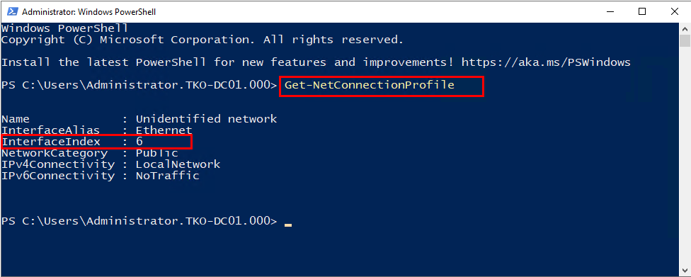 PowerShell command "get-netconnectionprofile"